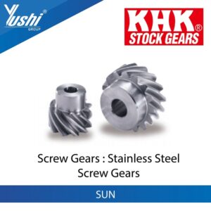 Stainless Steel Screw Gears